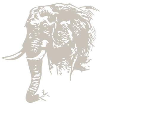 Chase Africa Safaris – Botswana mobile safaris