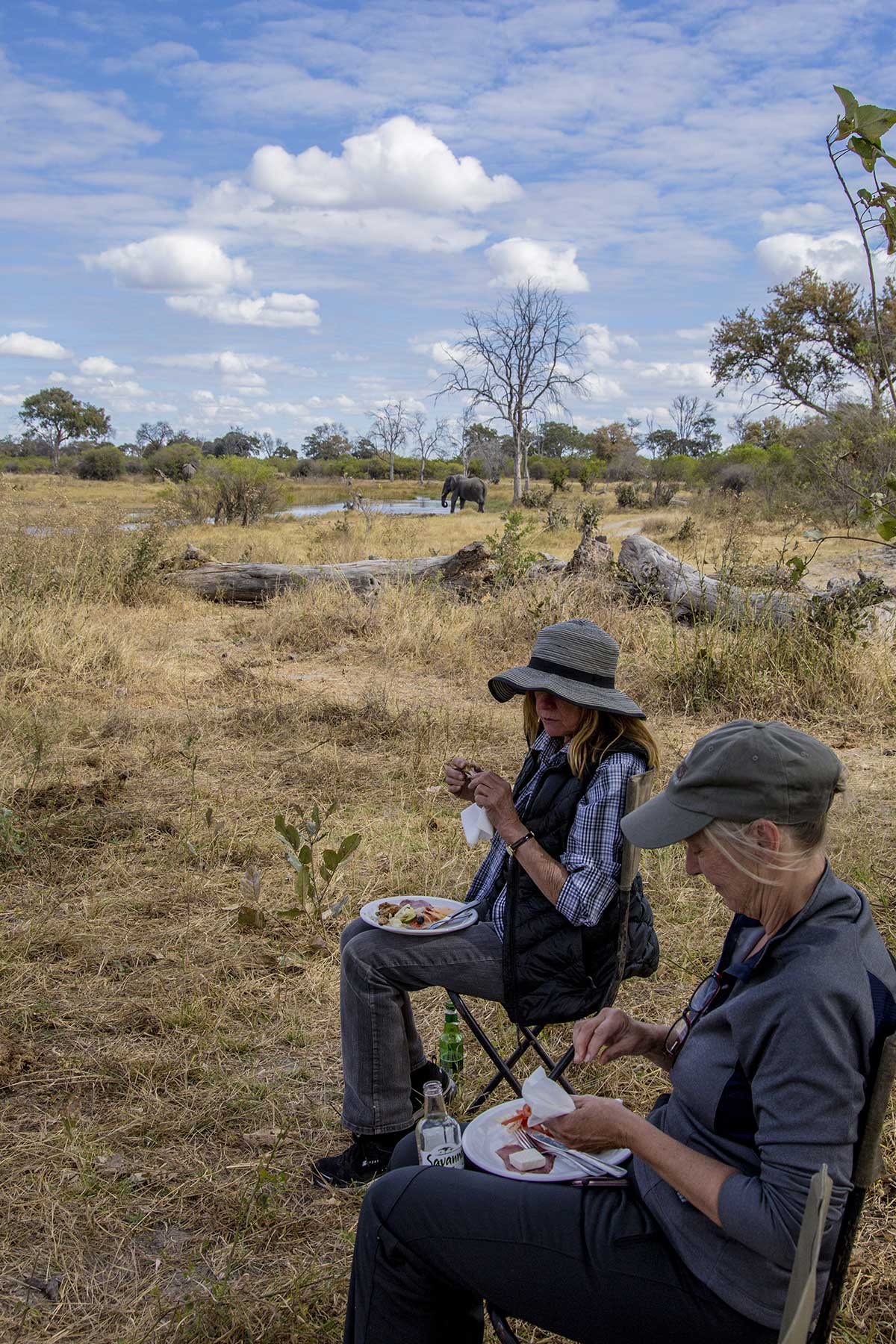 Picnic lunch Chase Africa Safaris