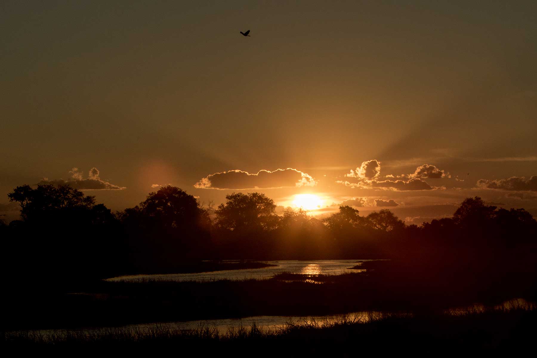 Botswana sunset Chase Africa Safaris